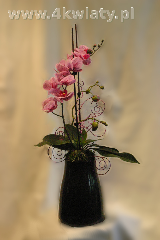 Sztuczny storczyk do wazonu na grób. Kwiaty na Wszystkich Świętych